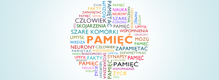 Zdjecie program na pamiec 710x260