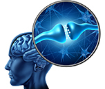 Czym jest neuroplastycznosc m