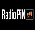 Pin m